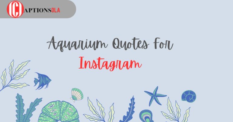 Top 130+ Aquarium Quotes For Instagram