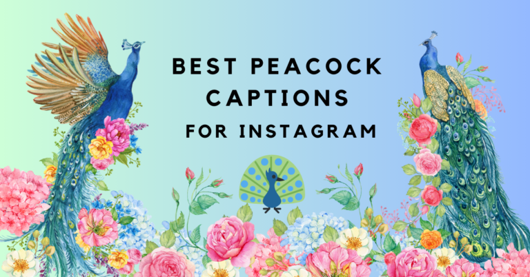 Best 320+ Peacock Captions for Instagram